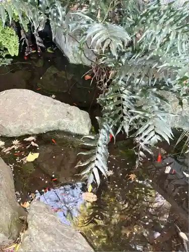 馬橋稲荷神社(東京都)