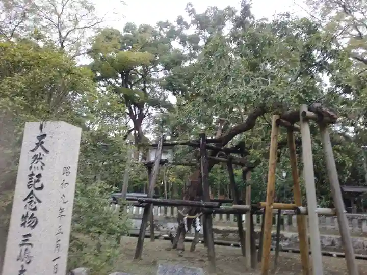 三嶋大社(静岡県)