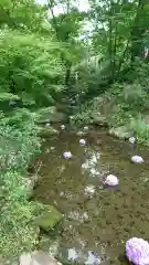 宝満宮竈門神社の庭園