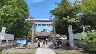 浅草神社の鳥居
