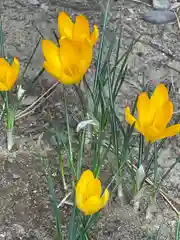 菊田神社の自然