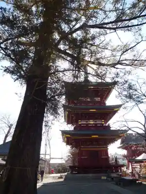 不動院(板橋不動尊)(茨城県)