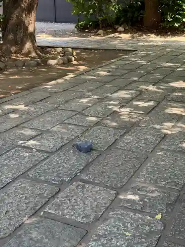 根津神社(東京都)