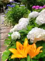 本郷氷川神社(東京都)