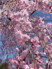 安養寺(福島県)