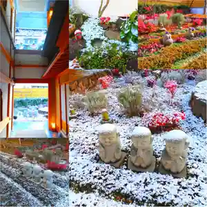 寿量山 速成寺(奈良県)(2023年01月29日(日) 15時46分53秒投稿)