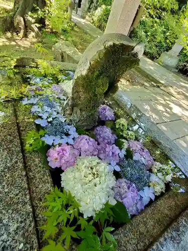 神炊館神社 ⁂奥州須賀川総鎮守⁂の手水