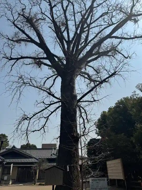 飯香岡八幡宮(千葉県)