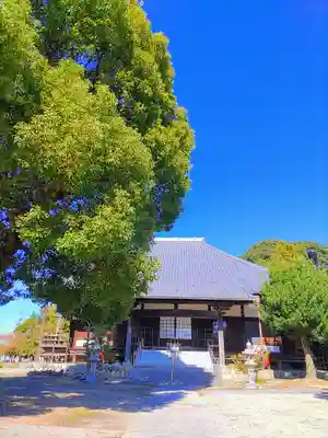常安寺の本殿・本堂