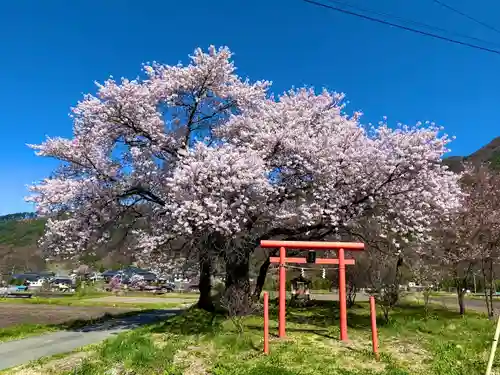 天神宮(伝河原氏屋敷跡)の自然
