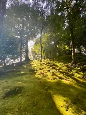 城南宮(京都府)