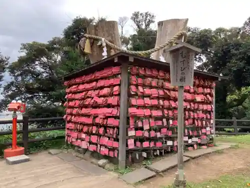 江島神社の絵馬