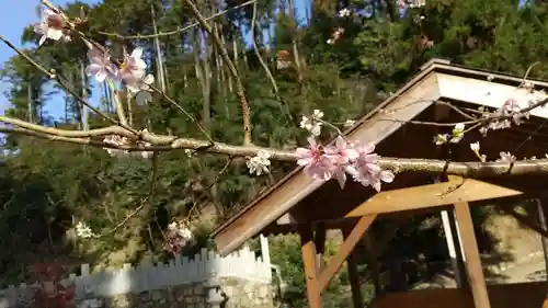 大縣神社の自然