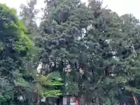 大宮温泉神社(栃木県)