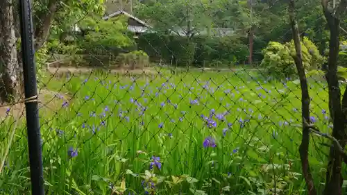 大田神社（賀茂別雷神社境外摂社）の景色