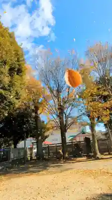 八雲神社 (通五丁目)の自然