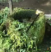 八女津媛神社の手水舎