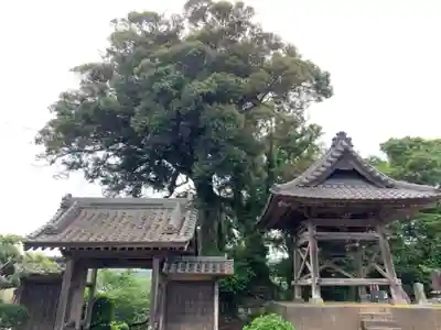 寳性寺のその他建物