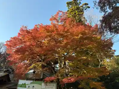 高尾山薬王院(東京都)