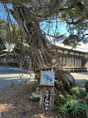 伊古奈比咩命神社(静岡県)