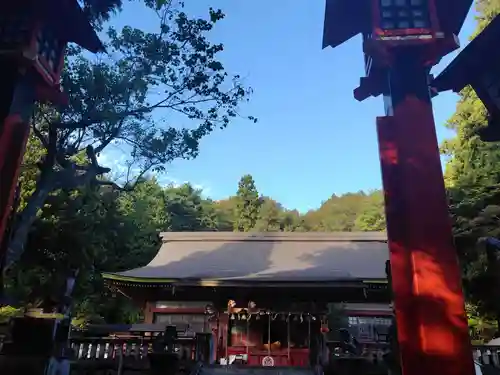 遠野郷八幡宮(岩手県)