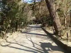 宇治上神社の庭園