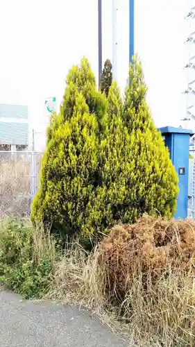 今井神社の周辺