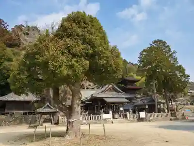 六條八幡宮のその他建物