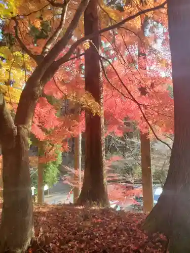 金藏院（聖法寺）(栃木県)