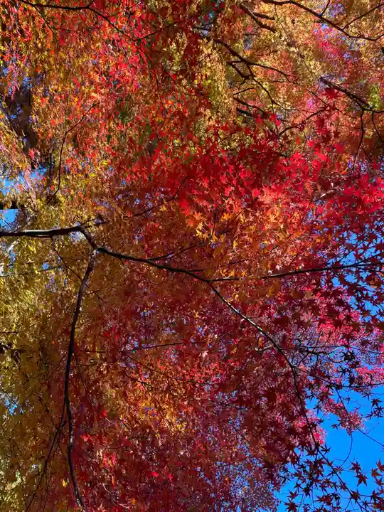 来迎院(京都府)