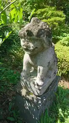 小倉神社の狛犬