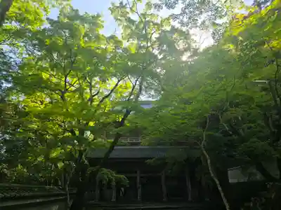 永源寺(滋賀県)