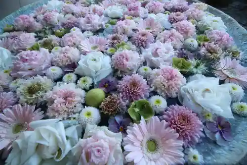 行田八幡神社(埼玉県)