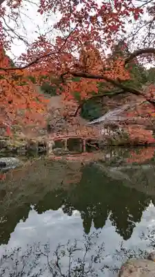 醍醐寺(京都府)