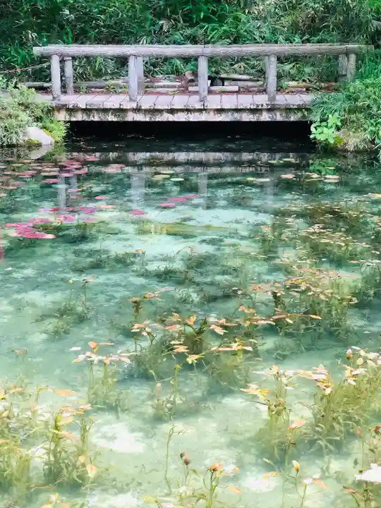 根道神社のその他建物