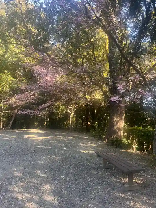 今泉神社の{uncategorized: "未分類", other: "その他", undefined: "問題あり", building: "その他建物", grave: "お墓", sacred_gate: "鳥居", guardian: "狛犬", statue: "像", buddha: "仏像", history: "歴史", nature: "自然", garden: "庭園", animal: "動物", pagoda: "塔", temizu: "手水舎", mountain_gate: "山門・神門", sanctuary: "本殿・本堂", subordinate: "末社・摂社", art: "芸術", scenery: "景色", jizo: "地蔵", ema: "絵馬", goshuin: "御朱印", omikuji: "おみくじ", items: "授与品その他", amulet: "お守り", goshuincho: "御朱印帳", eats: "食事", festival: "お祭り", votive_dance: "神楽", shichigosan: "七五三参", wedding: "結婚式", experience: "体験その他", initially: "初詣", around: "周辺", anti_infection: "感染症対策"}