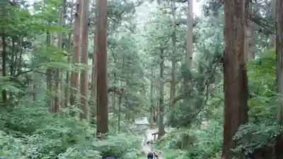 羽黒山五重塔(出羽三山神社)(山形県)
