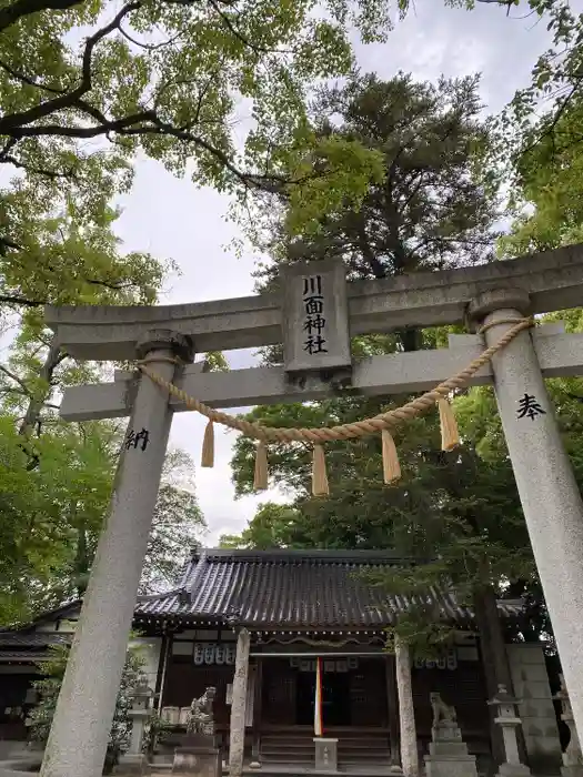 川面神社の鳥居