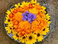 真言宗 善通寺派 薬王寺(香川県)