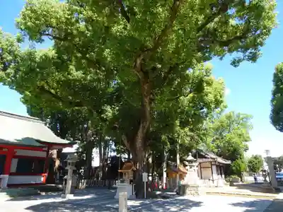 大依羅神社(大阪府)