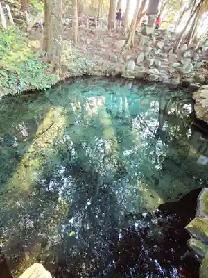 泉神社(茨城県)