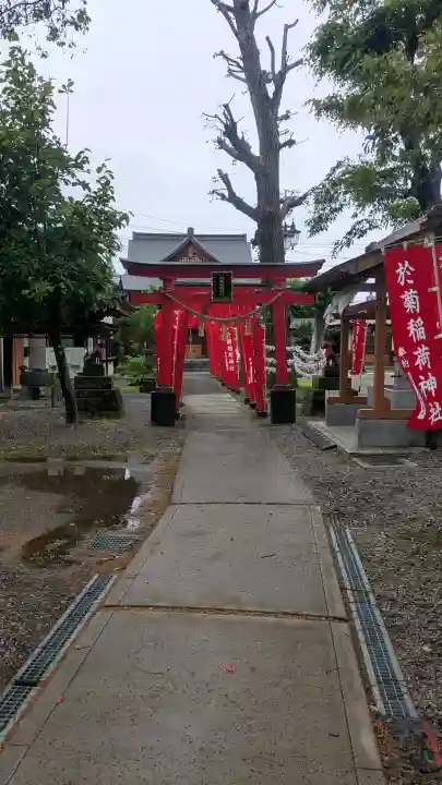 於菊稲荷神社の{uncategorized: "未分類", other: "その他", undefined: "問題あり", building: "その他建物", grave: "お墓", sacred_gate: "鳥居", guardian: "狛犬", statue: "像", buddha: "仏像", history: "歴史", nature: "自然", garden: "庭園", animal: "動物", pagoda: "塔", temizu: "手水舎", mountain_gate: "山門・神門", sanctuary: "本殿・本堂", subordinate: "末社・摂社", art: "芸術", scenery: "景色", jizo: "地蔵", ema: "絵馬", goshuin: "御朱印", omikuji: "おみくじ", items: "授与品その他", amulet: "お守り", goshuincho: "御朱印帳", eats: "食事", festival: "お祭り", votive_dance: "神楽", shichigosan: "七五三参", wedding: "結婚式", experience: "体験その他", initially: "初詣", around: "周辺", anti_infection: "感染症対策"}