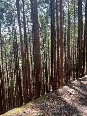 武蔵御嶽神社(東京都)