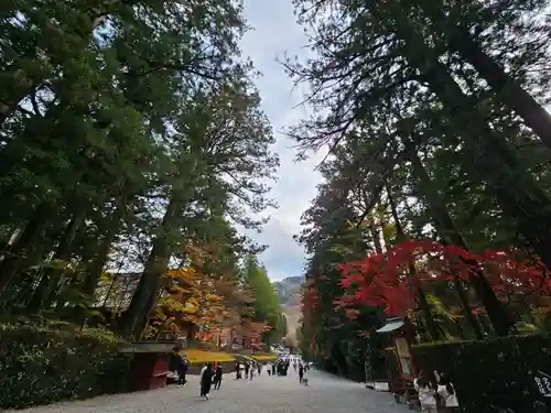 日光東照宮(栃木県)