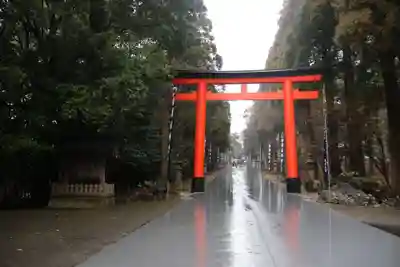 霧島神宮(鹿児島県)