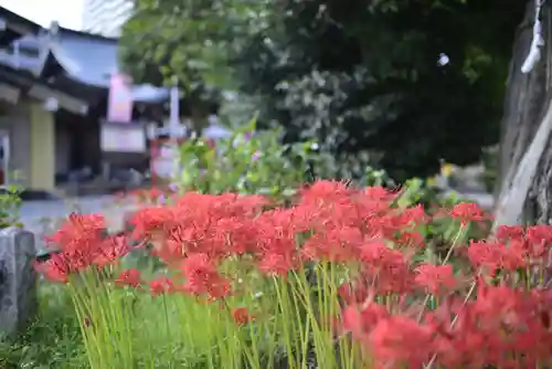 磐井神社の自然