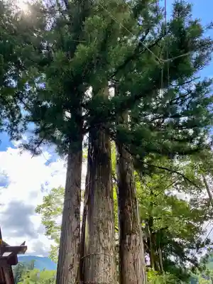 奥氷川神社(東京都)