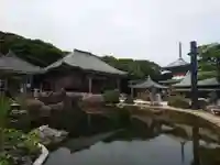 金剛福寺(高知県)