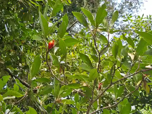 一山神社の自然