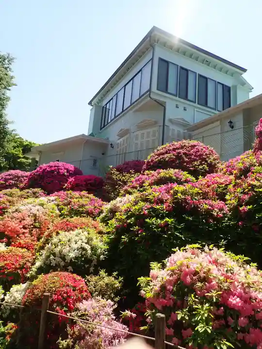 根津神社(東京都)